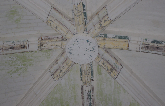 Voûtes du transept droit présentant des liernes et des tiercerons dans les voûtes en ogive.